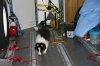 IMG_3867.jpg