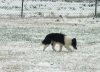 snow.jpg