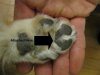 Toes.jpg