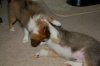 DSC_6329.jpg
