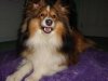 DSC02178.jpg