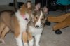 DSC_6319.jpg