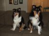 Piper and Lilly 2.jpg