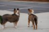 DSC_6392.jpg