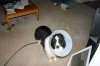 IMG_4300a.jpg