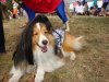 DSC02905.jpg