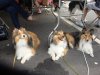 DSC02910.jpg