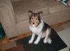 DSCF0483.jpg