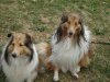 vinca and rusty.jpg