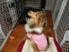 DSCN2293.jpg