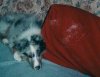 noah 2 001.jpg
