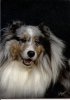 noah20080001.jpg