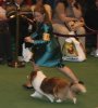 IMG_0976a.jpg