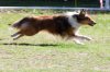 20110417_102817_0052.jpg