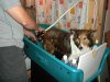 A bath before she comes home.jpg