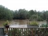 backyard.jpg