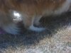 016.jpg