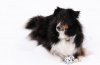 IMG_1355_edited-3.jpg