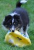 Perfect ball for a little mouth.jpg