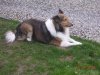 DSCN4363.jpg