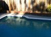 photo_duck3.jpg