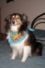 100_4289.jpg
