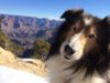 Gavin Grand Canyon.jpg