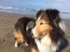gavin beach oregon.jpg