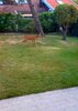 20201205_112627.jpg