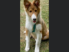 F09C2B23-3197-4EF5-B89E-40B908EF5F6F.png
