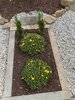 IMG_2999.jpeg