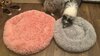IMG_8133.jpeg