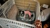 IMG_8699.jpeg