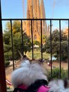 IMG_1053.jpeg