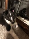 IMG_5468.jpeg