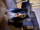 IMG_0279.jpeg