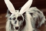 IMG_3145.jpeg