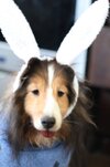 IMG_3150.jpeg