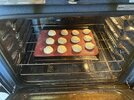 IMG_1073.jpeg