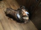 IMG_5754.jpeg