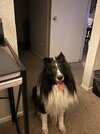 IMG_2957.jpeg