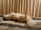 IMG_3055.jpeg