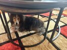IMG_1972.jpeg