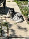 IMG_1743.jpeg