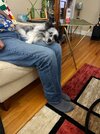 IMG_2100.jpeg