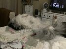 IMG_5820.jpeg