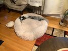 IMG_5827.jpeg