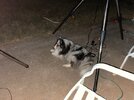 IMG_1449.jpeg