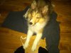 IMG-20110608-00017.jpg