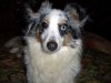 tessa 2005 (11).jpg